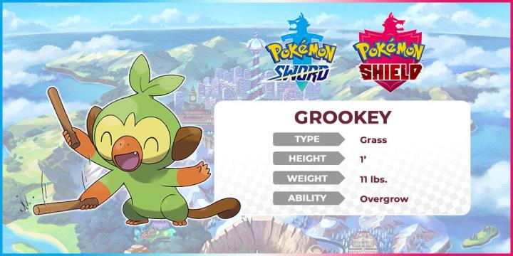 Pokemon Grookey
