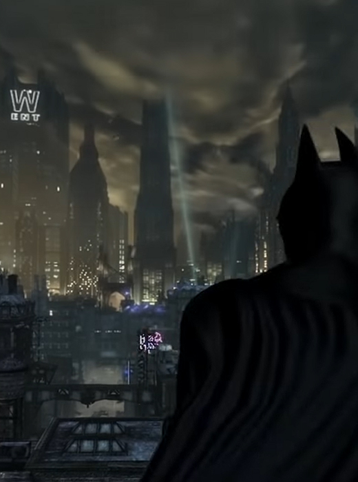Batman Arkham City Gouki Box Art
